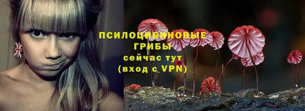 хмурый Верхний Тагил