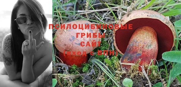 хмурый Верхний Тагил
